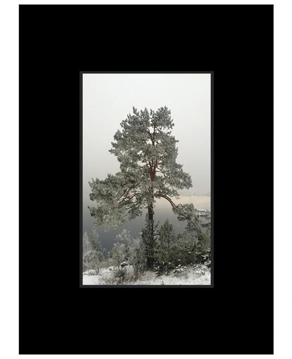 Passepartout Sort